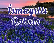 Aşiqbayramli Gölü İsmayilli Qəbələ Turu