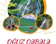 Габала Огуз международный тур