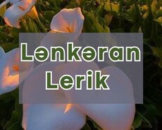 Xanbulan gölü Lerik Lənkərana 1 günlük səyahət