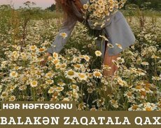 Məşhur Alban məbədi Zaqatala turu