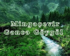 2 günlük Maralgöl Gəncə turu