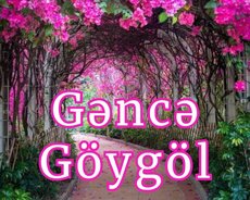 Göygöl Milli parkı Gəncə turu