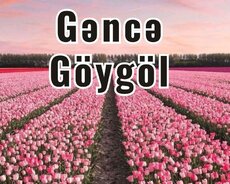 1 günlük İmamzadə Məscidi Göygöl turu