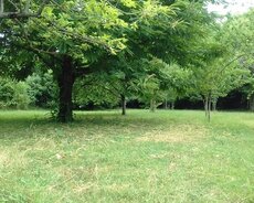 İsmayıllı ryn buynuz kendinde kirayə bag evi