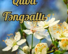 Qimilqazma Yaylasi Quba Təngəalti Turu