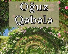 Привлекательный тур Огуз Габала