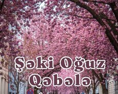 1 günlük Qəbələ Nohurgöl turu