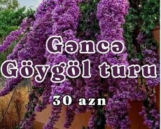 1 günlük Gəncə Göygölə səyahət