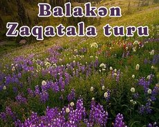 Füsunkar Zaqatala Balakən Qəbizdərədə tur