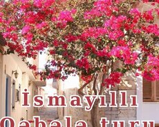 Möhtəşəm Qəbələ 7 gözəl şəlaləsinə 1 günlük tur