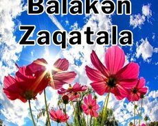 Balakən Meşəsi , Zaqatala Qəbələ Turu