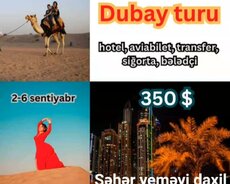 Dubay turu