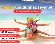 Turlar Misir ovcunuzda