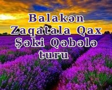 Balakən Zaqatala Qax Şəki Mingəçevir turu