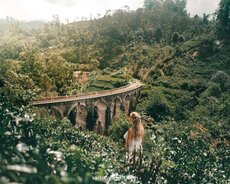 Şri Lanka qrup turu Noyabr ayina