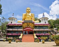 Shri-Lanka Qrup turu noyabr