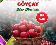 2 günlük Göyçay Gədəbəy Tovuz turu