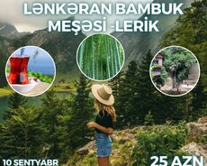 Möhtəşəm Lənkəran Bambuk meşəsi Lerik turu