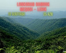 Lənkəran Bambuk meşəsi Lerik
