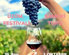 Üzüm Festivali Şamaxi Turu