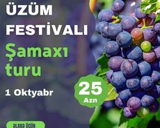 Üzüm Festivali Şamaxi Turu
