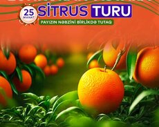 Lənkəran Astara Sitrus Turu