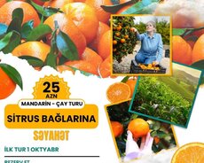Xan Lənkaranda Mandarin Sisrus turu