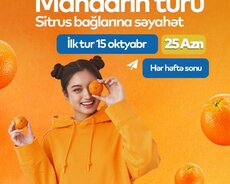 Lənkəran Mandarin Turu