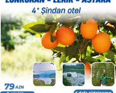 4 dəfə qidalanma daxil cənub turu