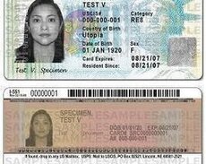 Green Card Qeydiyat dəstəyi