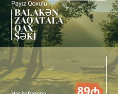 Balakən Zaqatala Qax Şəki turu