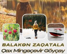 Balakən•zaqatala•qax•mingəçevir•göyçay Turu