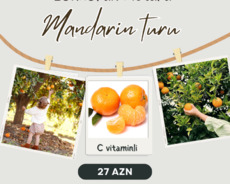 Mandarin turu Lənkəran Astara 1 günlük