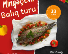 Mingəçevir Balıq turu 1 günlük