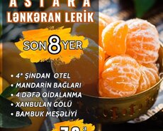 Astara Lənkaran Lerik Turu (mandarin Bağları)
