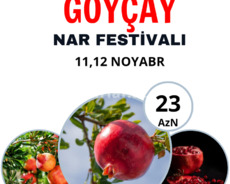 Göyçay Nar Festivalına Start verildi