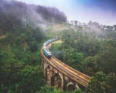 Şri Lanka turu
