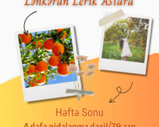 Astara mandarin bağları Lerik Lənkəran turu