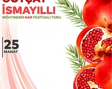 Möhtəşəm Nar Festivali Göyçay • İsmayilli Turu