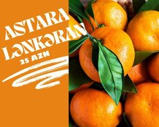 Lənkəran Sitrus turu