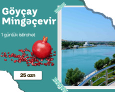 Göyçay nar bağları Mingəçevir turu