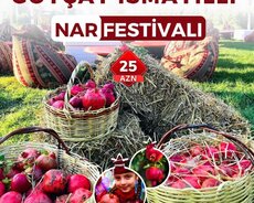 Möhtəşəm Nar Festivali Göyçay • İsmayilli Turu