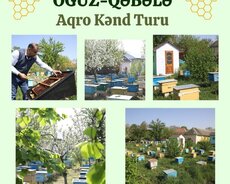 Qəbələ Oğuz Aqro Kənd Turu