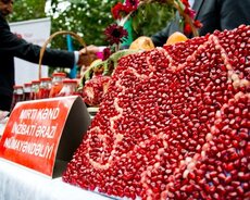 Göyçay Nar Festivalı