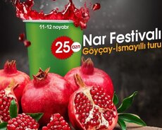 Möhtəşəm Göyçay nar festivalı turu