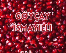 Möhtəşəm Nar Festivali Göyçay • İsmayilli Turu