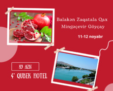 Balakən Zaqatala Göyçay nar bağları 2 günlük