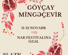 Qızıl payız Zəfəri ilə Göyçay Mingəçevir turu
