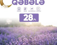 1 günlük Qəbələ lavanda turu