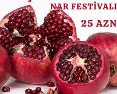 Nar Bağlarina Səyahət Göyçay Mingəçevir Turu